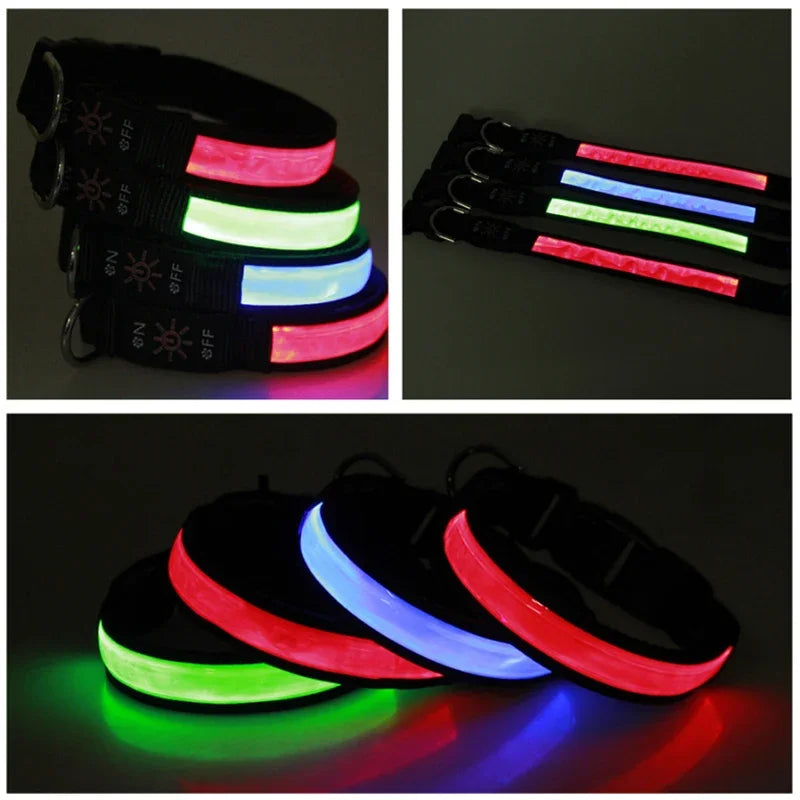 Showlu Smart General LED luminous dog collar with USB rechargeability, safety night visibility, and adjustable strap for pets.