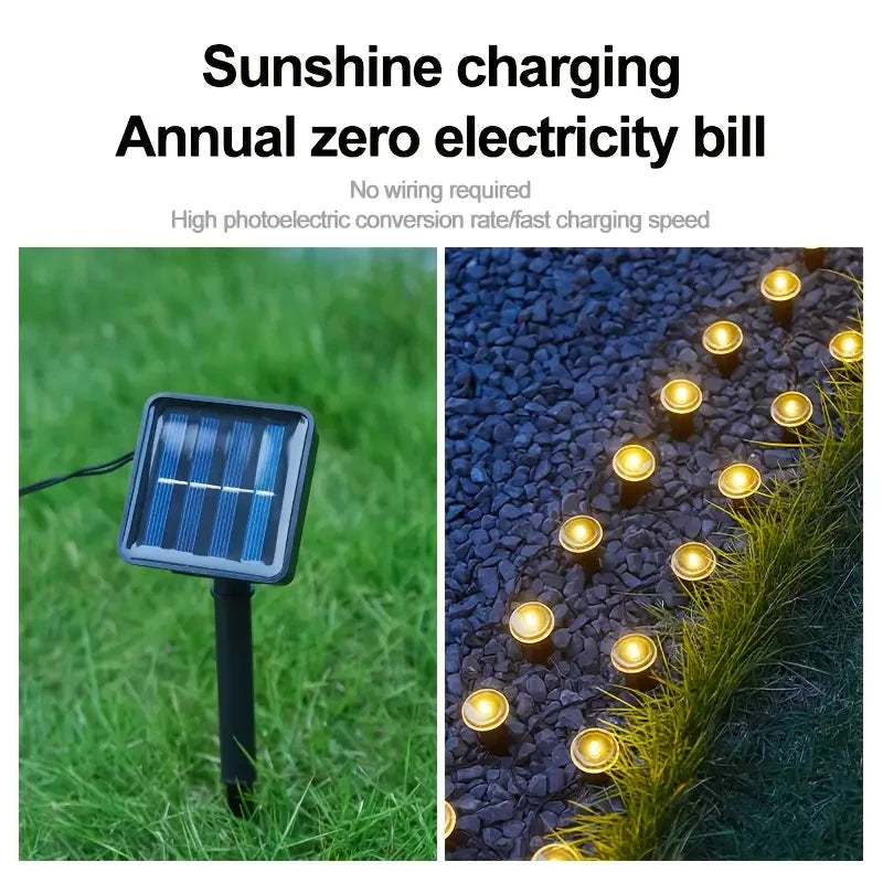Solar LED garden pathway lights with 8 lighting modes, outdoor waterproof design, perfect for illuminating walkways and gardens.