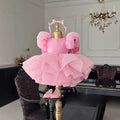 Party Dress with Wings Cute Tutu Fairy Costume Pink Children Girls Short Kids First Birthday Celebration Princess Pageant Gown