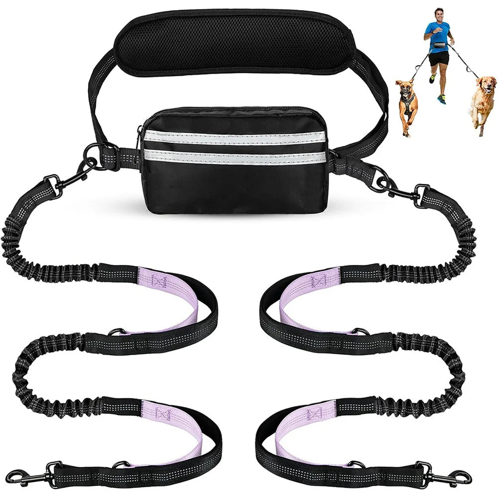 DCLOUD hands-free dual dog leash with pouch for medium and large dogs, shown attached and ready for walking.