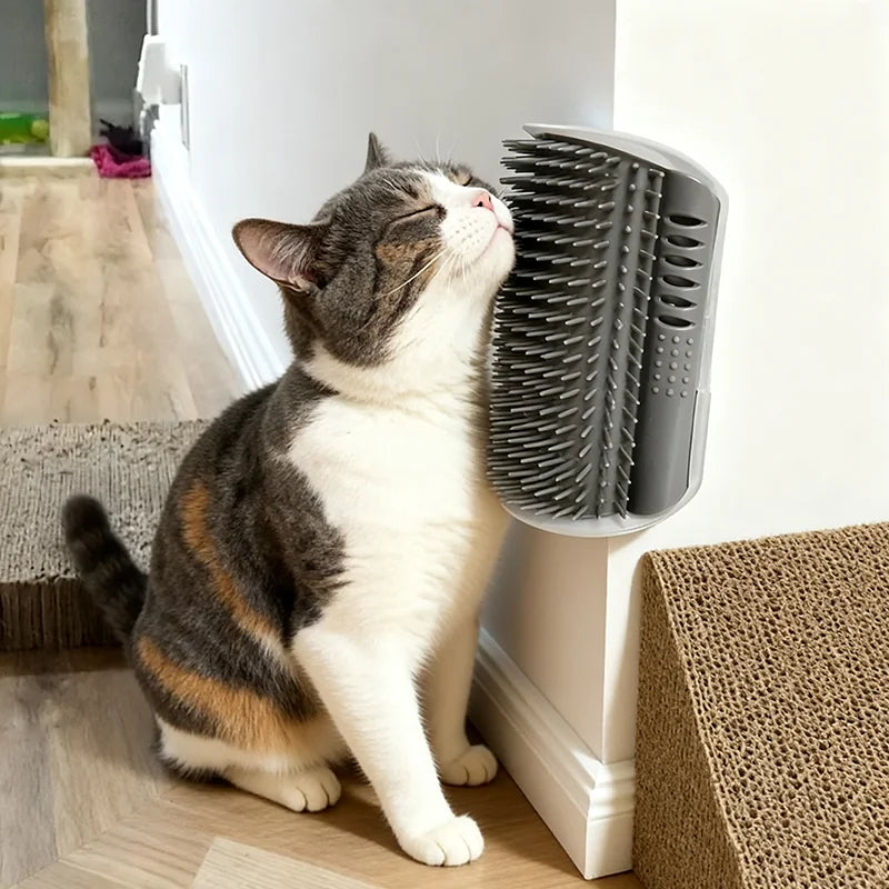 Wall-mounted cat self-groomer with massage comb brush for kittens and puppies, showing the grooming tool attached to a wall.