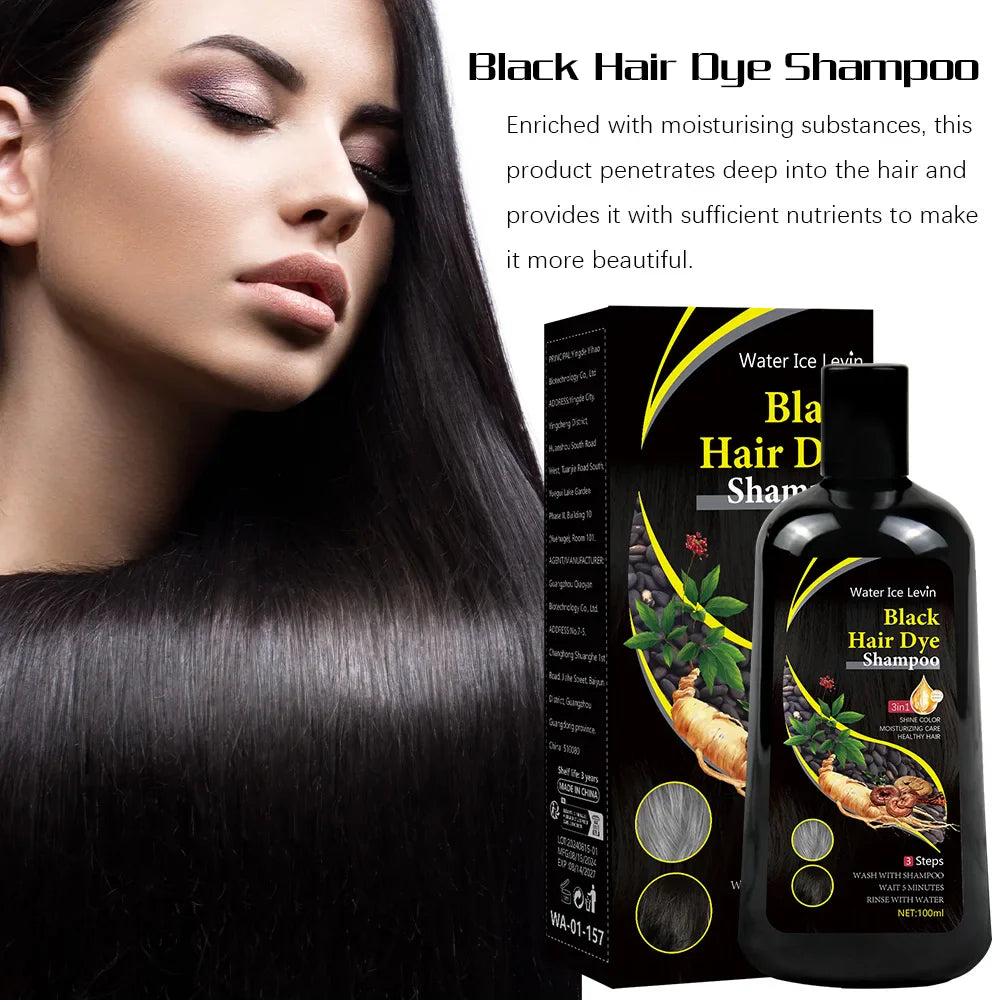 Water Ice Levin 3-in-1 black hair dye shampoo with organic ginger essence, 100ml bottle, showing the product and packaging.