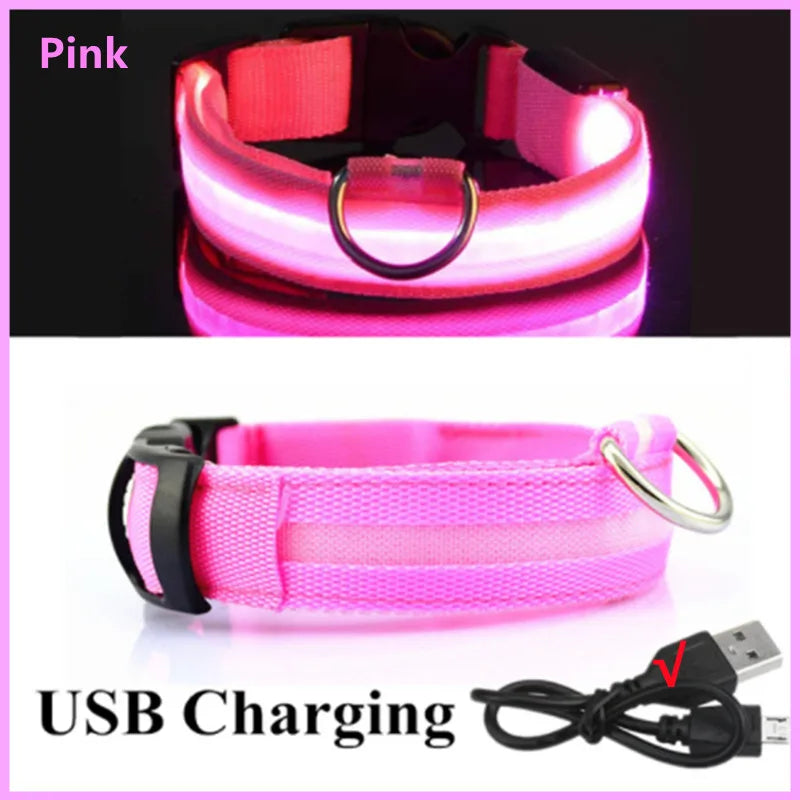 Showlu Fashion COOYOMOO USB rechargeable LED glowing dog collar with adjustable nylon harness, illuminated for visibility and safety.