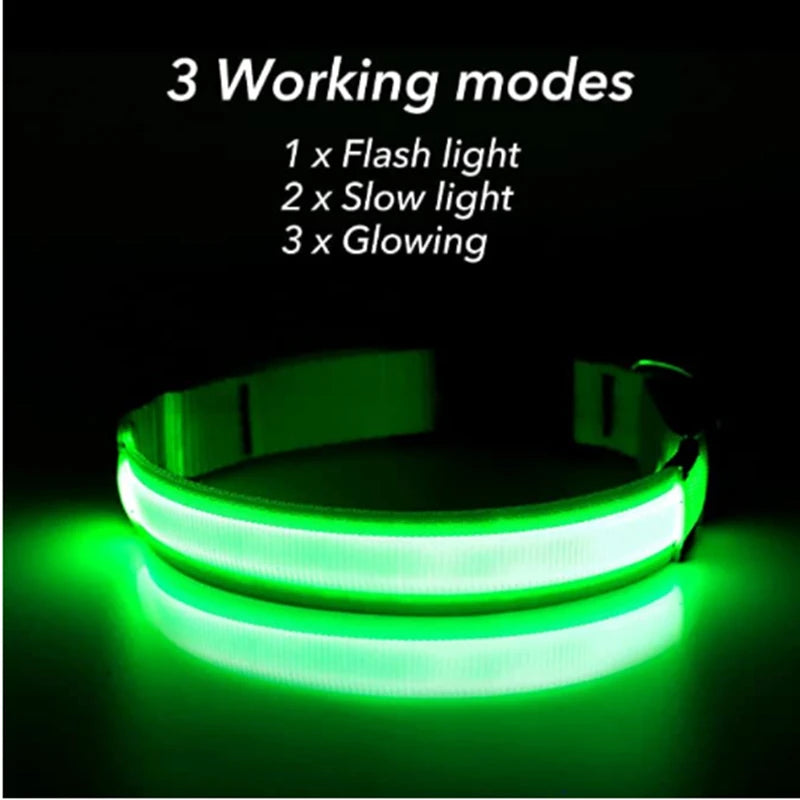 Rechargeable LED glowing dog collar by Showlu Fashion, adjustable nylon harness with bright illumination for safe nighttime walks.