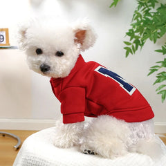 A small white dog wearing a red hooded sweatshirt with a large letter R on the back.