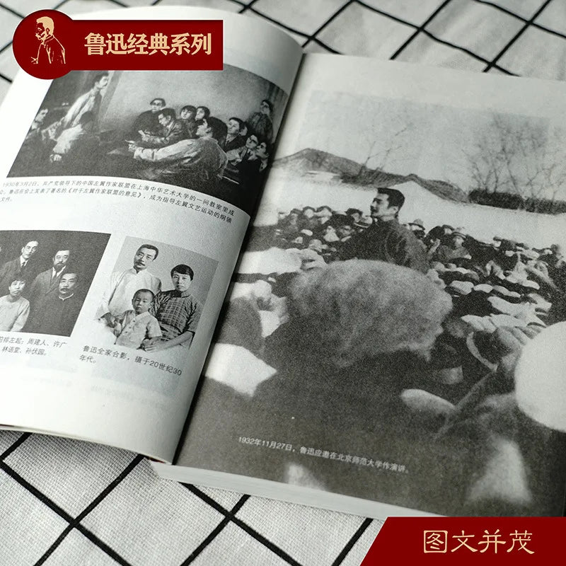 Complete works of Lu Xun, classic Chinese literature collection books with traditional Chinese cover design.
