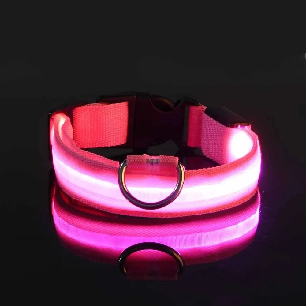 Nylon LED dog collar glowing in the dark with flashing lights for night safety and visibility.