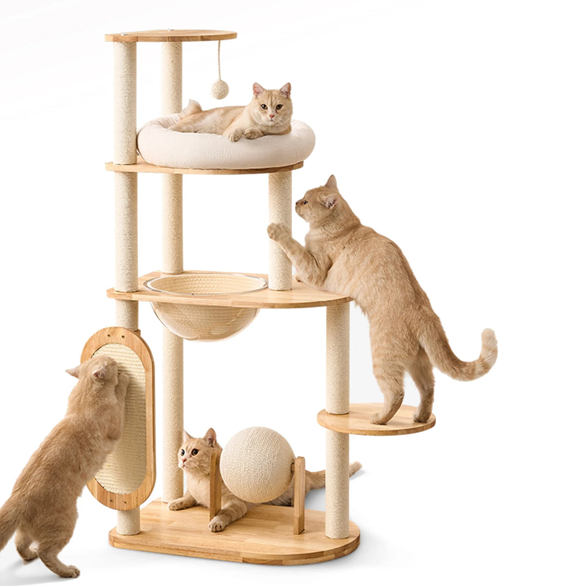 A four-tier wooden cat tree with scratching posts, a hanging ball, and a clear bowl bed.