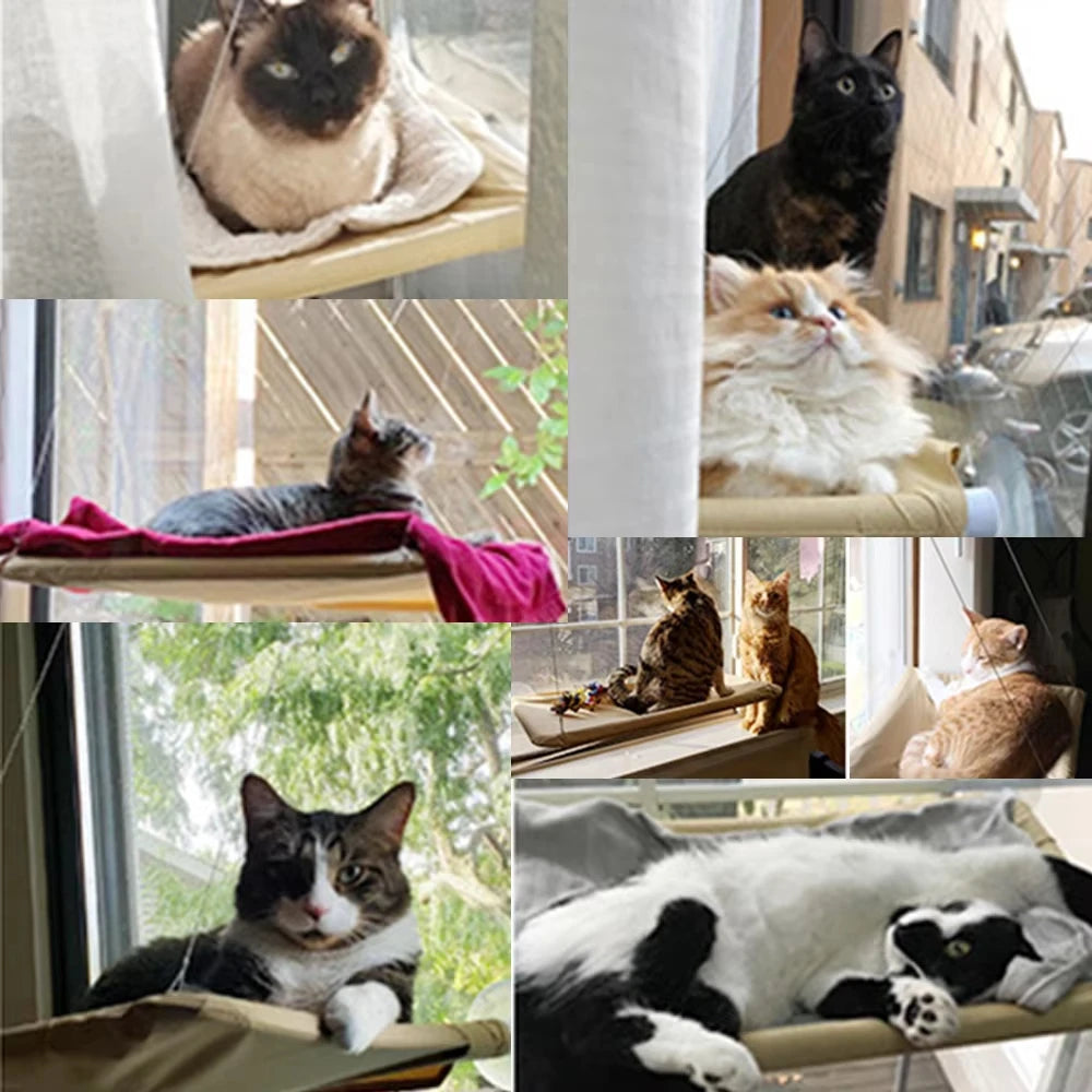 Showlu Fashion Qlfyuu Cat Window Hammock hanging in a sunny window, cozy hanging bed for cats with soft, comfortable fabric.