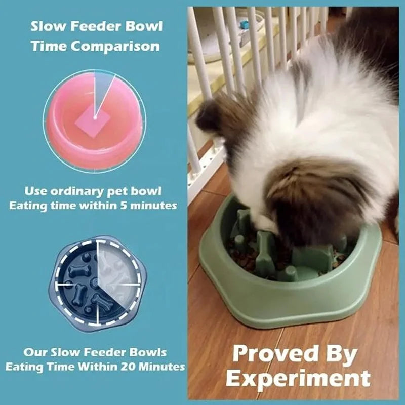 Showlu Fashion Store slow feeder dog and cat bowl with non-slip base, designed to slow eating and reduce food gulping.