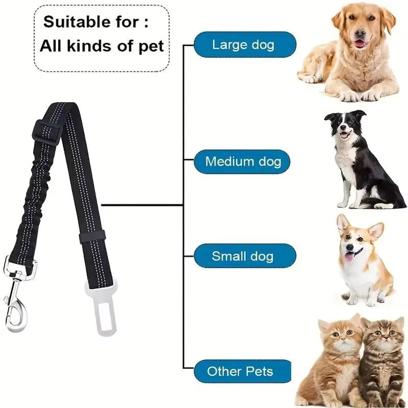 Showlu Smart General pet car seatbelt harness securing a dog safely in a vehicle for travel safety and comfort.