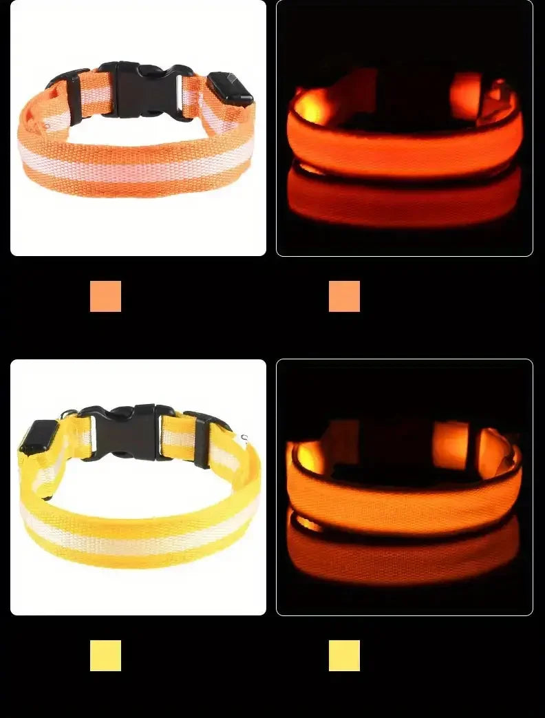 LED glow dog collar with safety night leash by Showlu Smart General, featuring bright, adjustable LED lights for nighttime visibility.