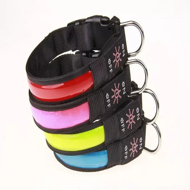LED luminous dog collar by Showlu Smart General, USB rechargeable safety night collar with bright illumination for pets.