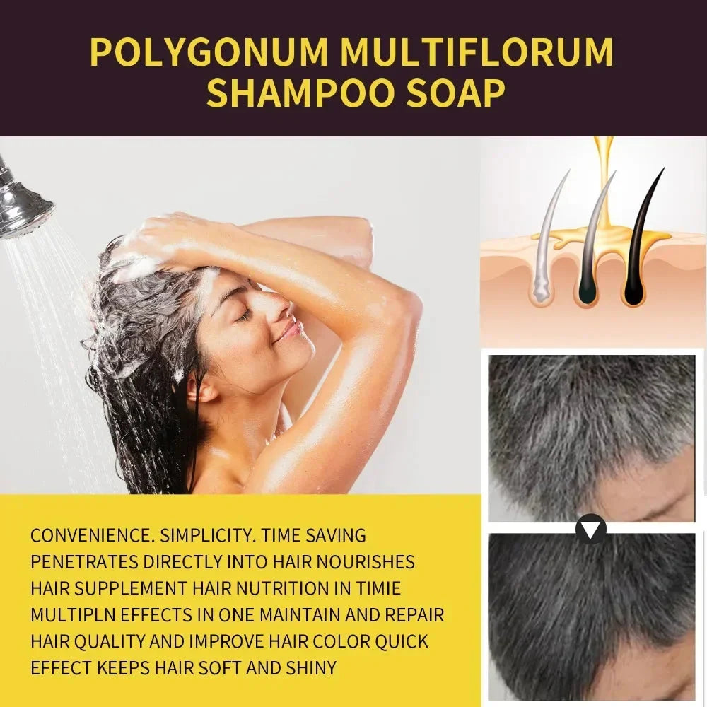 Eelhoe 3-in-1 herbal hair dye shampoo for grey coverage, 100ml bottle showing herbal ingredients and hair application.
