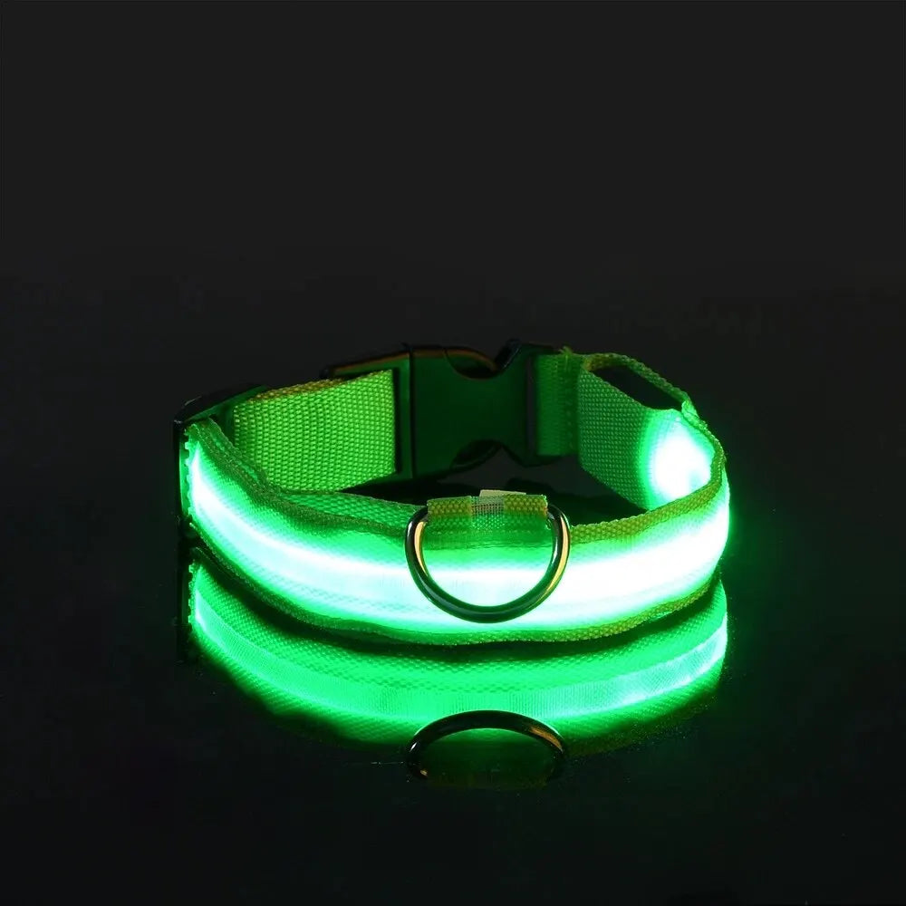 Nylon LED dog collar with luminous flashing glow, designed for night safety and visibility during evening walks.