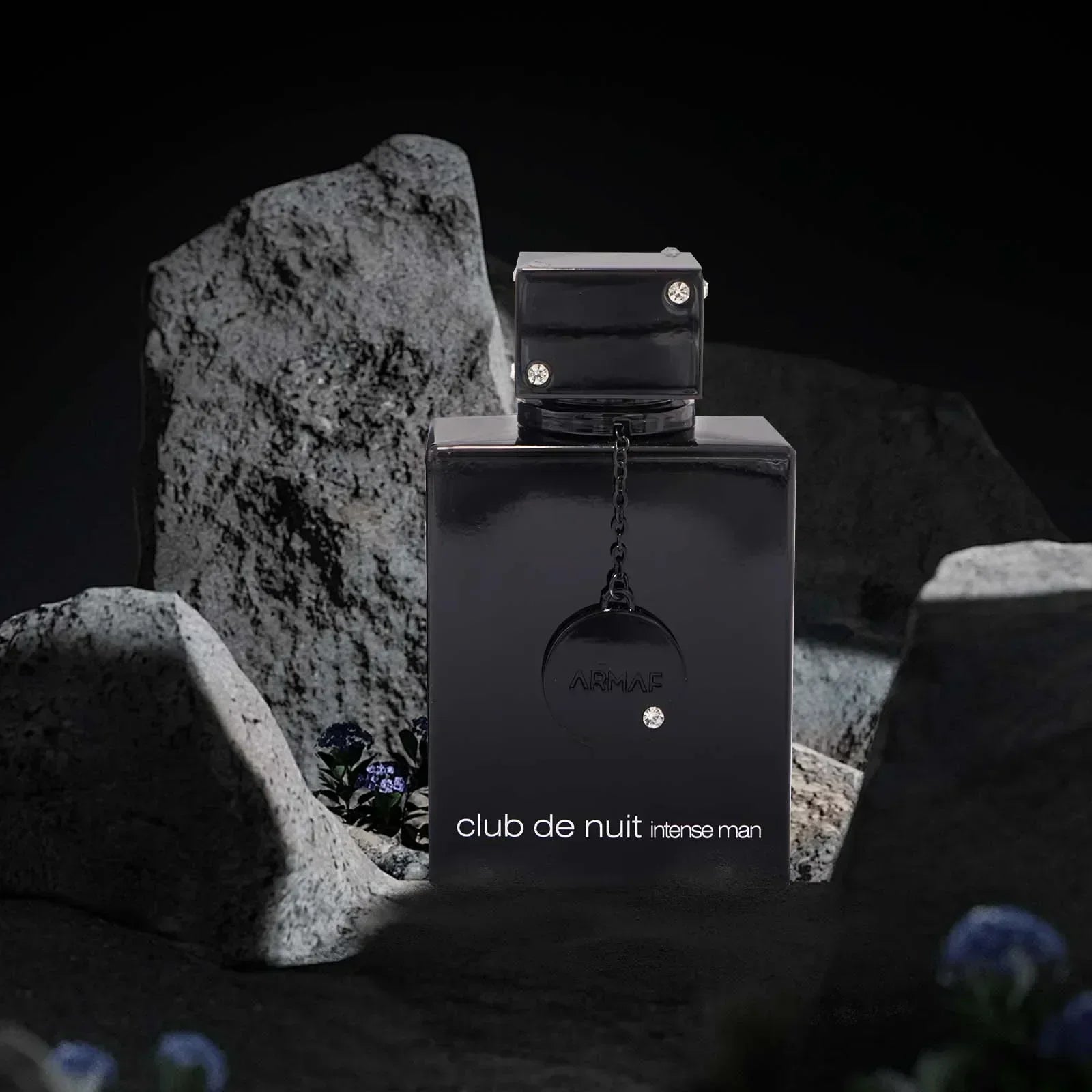 Baldauren Night Club Wild Black Edition men's perfume EDT spray 105ml, showing the dark bottle with sleek design.