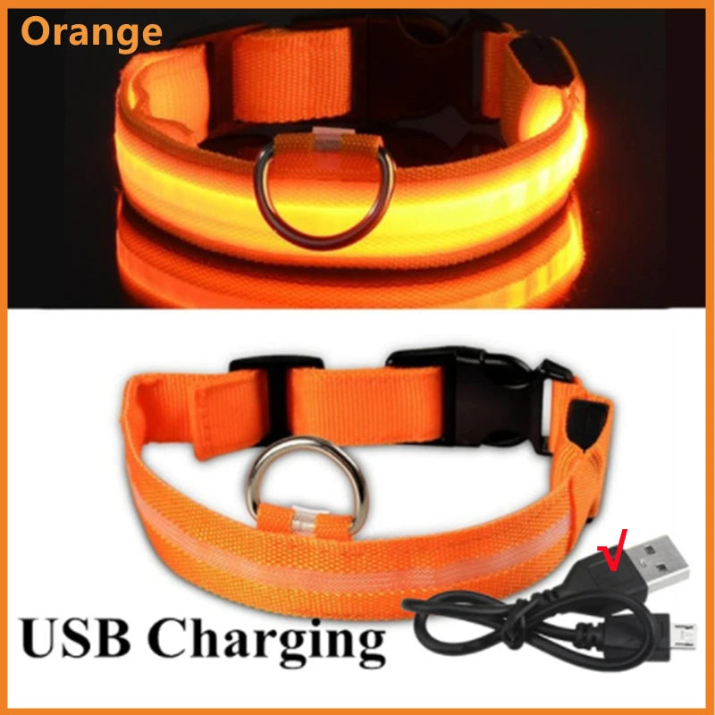Adjustable nylon glowing dog collar with USB rechargeable LED lights, ideal for visibility and safety during nighttime walks.