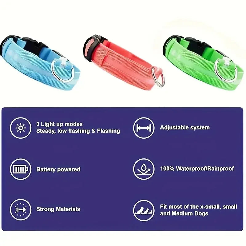 LED glow dog collar and safety night leash by Showlu Smart, featuring illuminated collar and leash for nighttime visibility.