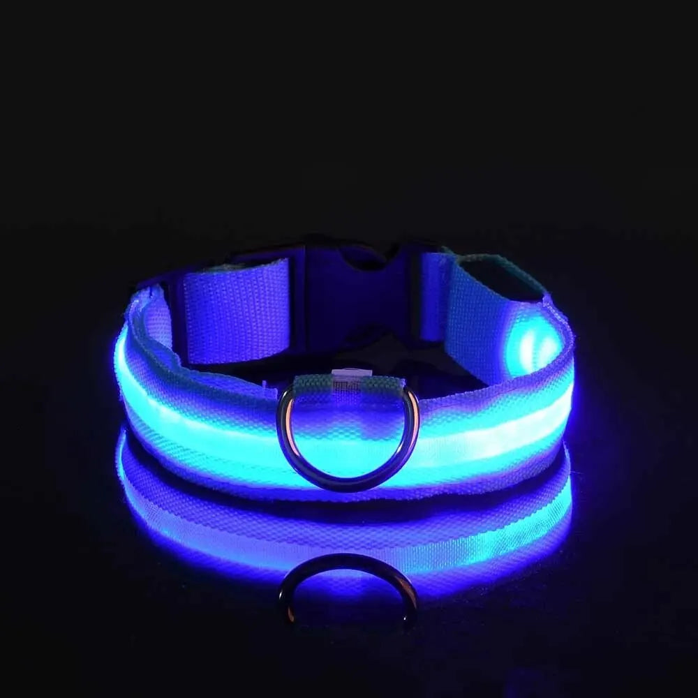 LED glow dog collar and safety night leash by Showlu Smart General, illuminated for visibility during evening walks.
