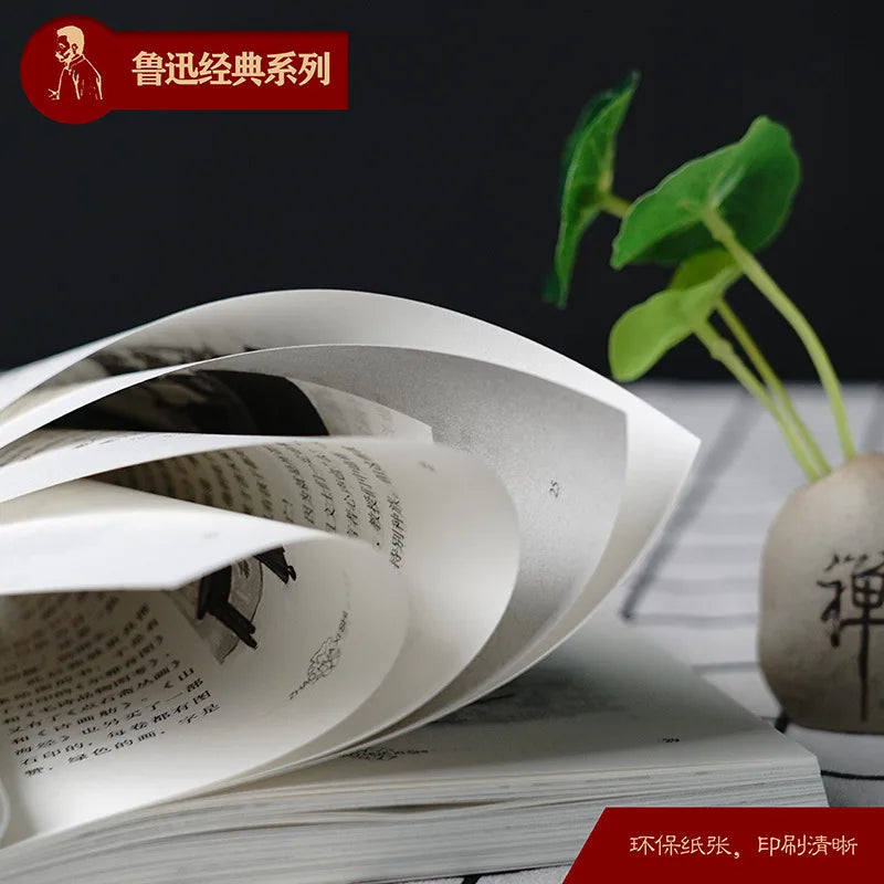 Complete works of Lu Xun, classic Chinese literature collection books, featuring original Chinese texts and insightful commentary.