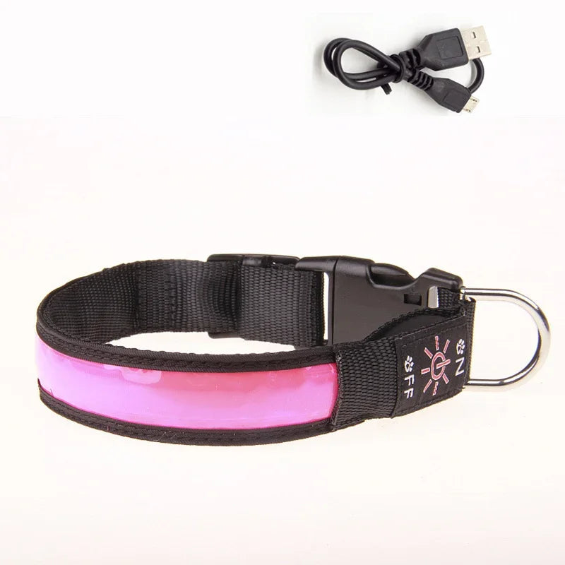LED luminous dog collar by Showlu Smart General with USB rechargeable safety night glow and adjustable strap for pets.