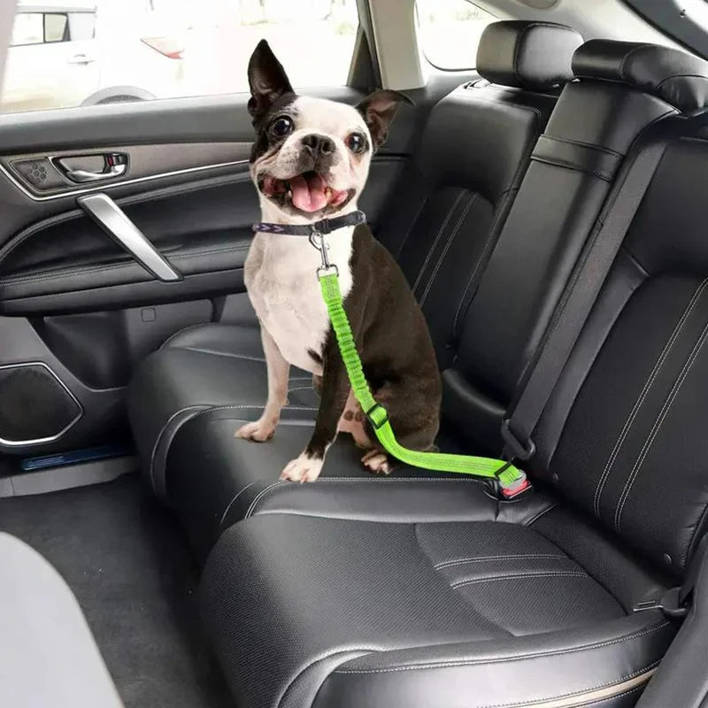 Showlu Smart General pet car seatbelt harness securing a small dog in a vehicle for safety during travel.