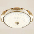Modern round LED ceiling light with gold glass surface mount, sleek design by Showlu Fashion Store
