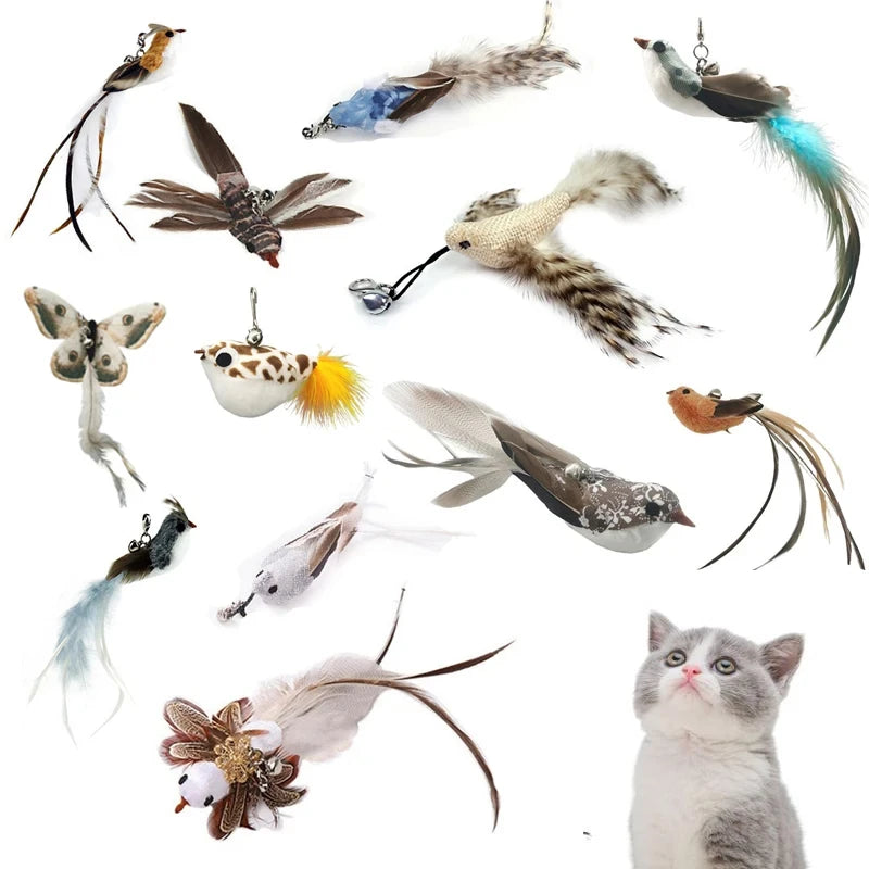 Showlu Smart General cat feather teaser wand with colorful feathers and a wooden handle for engaging feline play.