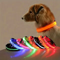 Nylon LED dog collar with luminous glow and flashing light, designed for night safety and visibility during walks.