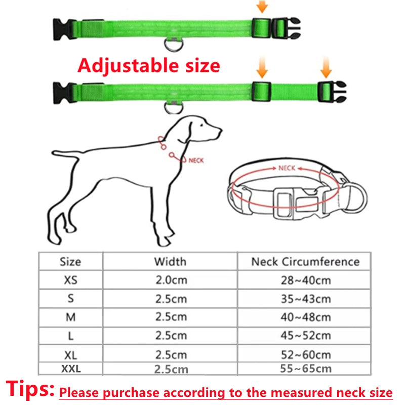 LED glowing dog collar by COOYOMOO, USB rechargeable and adjustable nylon harness, visible with illuminated glow in the image.