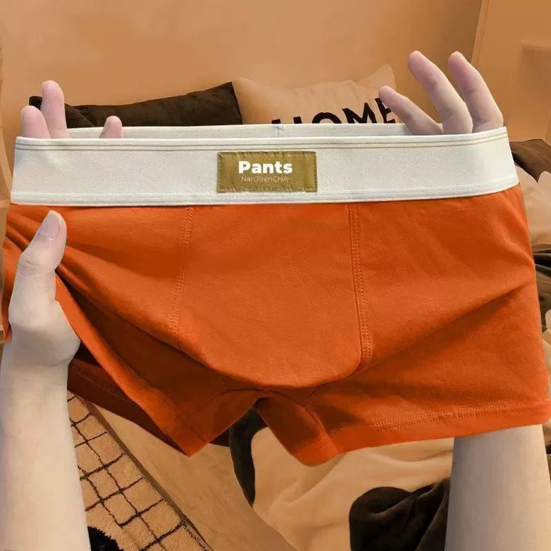 Four pairs of men's cotton boxer shorts in large sizes L to 7XL, breathable, comfortable, and sexy sports underwear from Showlu Fashion.