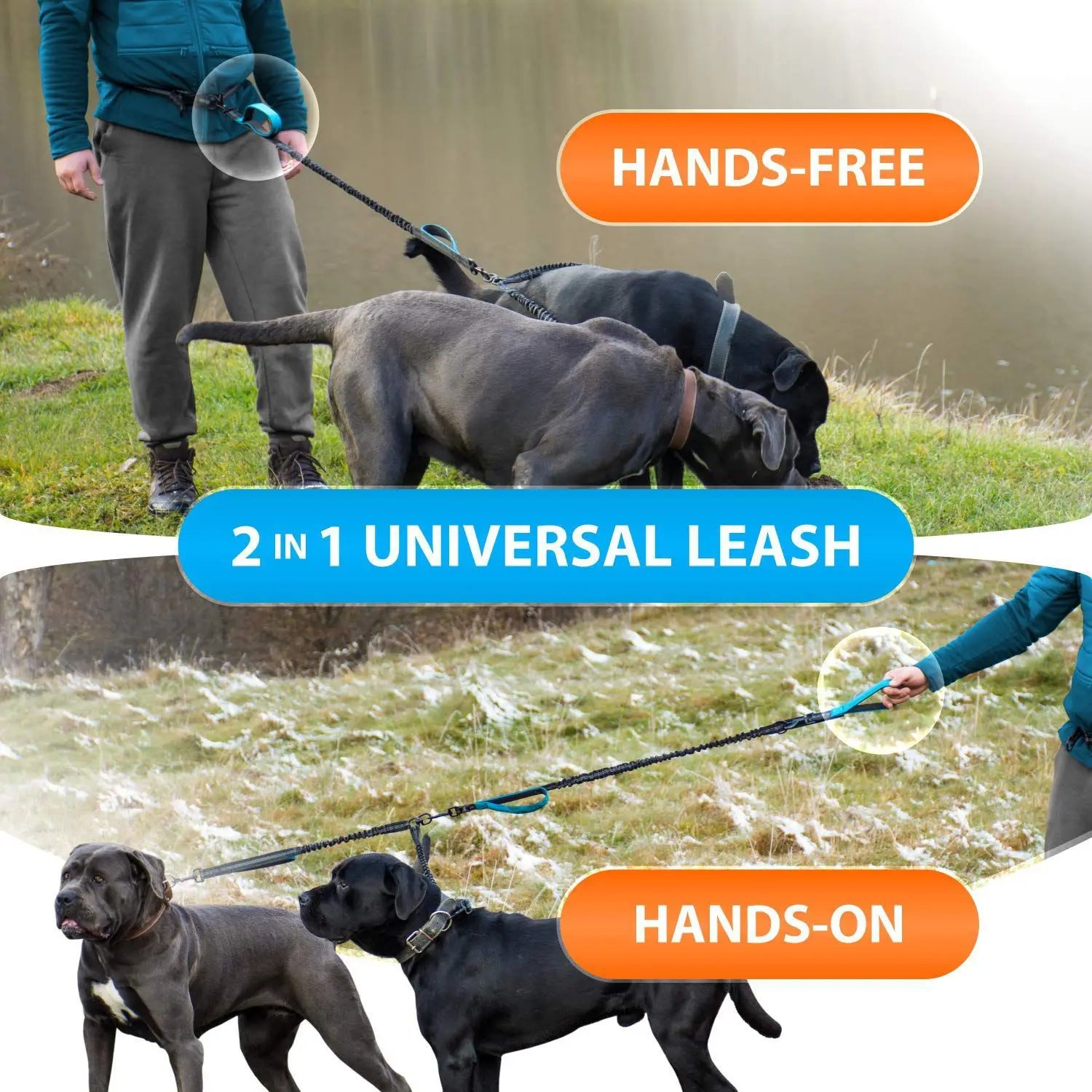 Reflective DCLOUD Hands-Free Double Dog Leash by Showlu Fashion Store, designed for walking two dogs simultaneously.