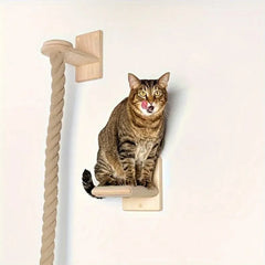 A tabby cat sits on a wall-mounted wooden shelf next to a vertical sisal climbing rope.