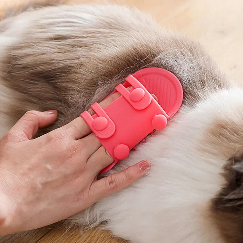 Showlu Fashion Store cat hair removal comb and scratching brush kit with self-cleaning design for kittens and cats.