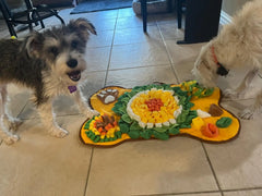 Pet Snuffle Mat for Dogs, Interactive Feed Game for Boredom, Encourages Natural Foraging Skills for Cats Dogs Bowl Travel Use