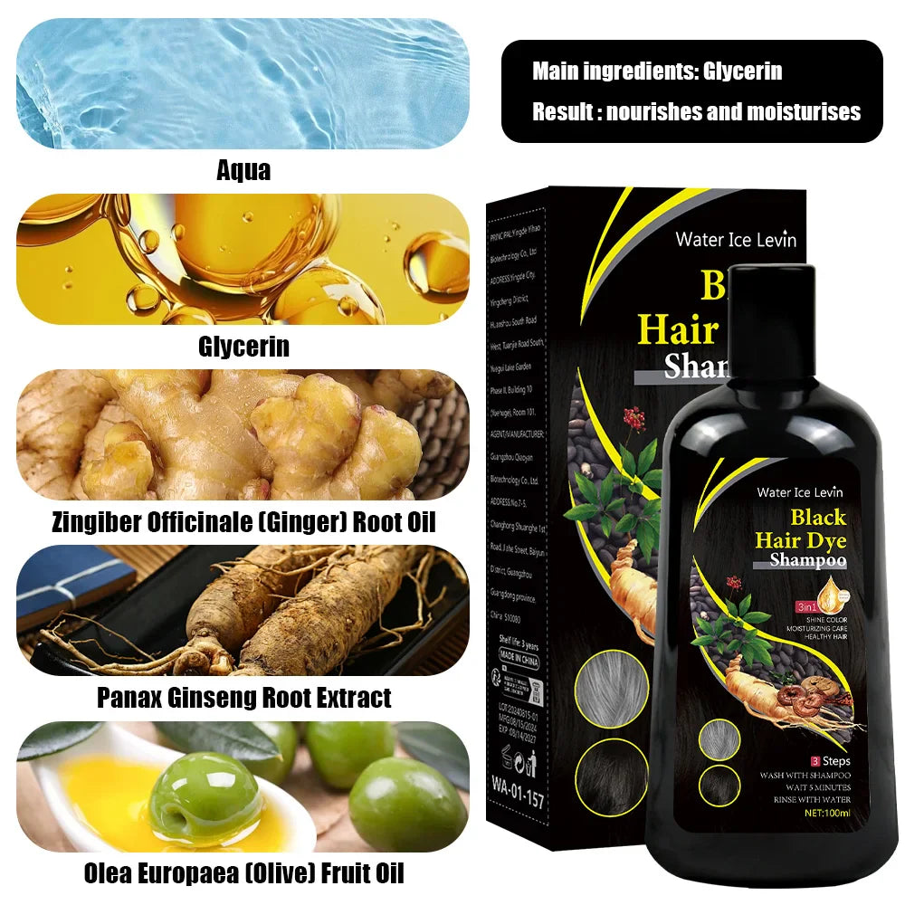 Water Ice Levin 3-in-1 black hair dye shampoo with organic ginger essence, 100ml, showing the product bottle with black and orange design.