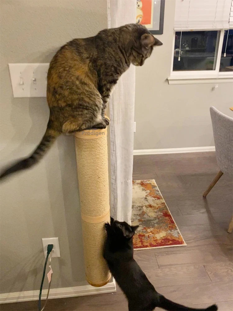 Showlu Wood Wall-Mounted Cat Scratching Post with thick kitten tree, natural wood finish for scratching and climbing.