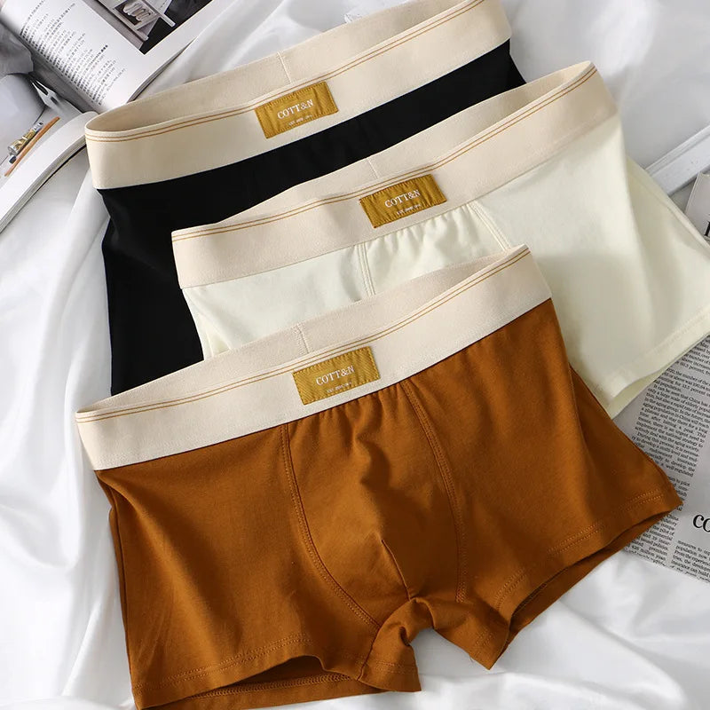 Men's cotton boxer briefs from Showlu Fashion, breathable and comfortable underwear in teen and plus sizes, featuring a sleek design.