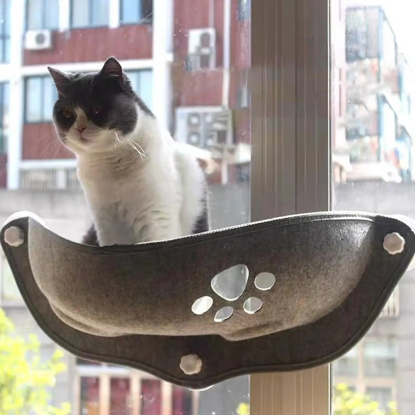 Showlu Fashion Store Kesoto Cat Window Perch with suction cups and plush pad for comfortable outdoor viewing and lounging.
