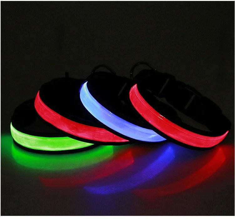 LED luminous dog collar by Showlu Smart General with USB rechargeable safety night illumination and adjustable strap