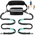 DCLOUD hands free dual dog leash with pouch for medium and large dogs, shown with adjustable straps and storage pocket.