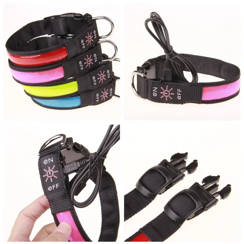LED luminous dog collar by Showlu Smart General with USB rechargeable safety night visibility and adjustable strap.