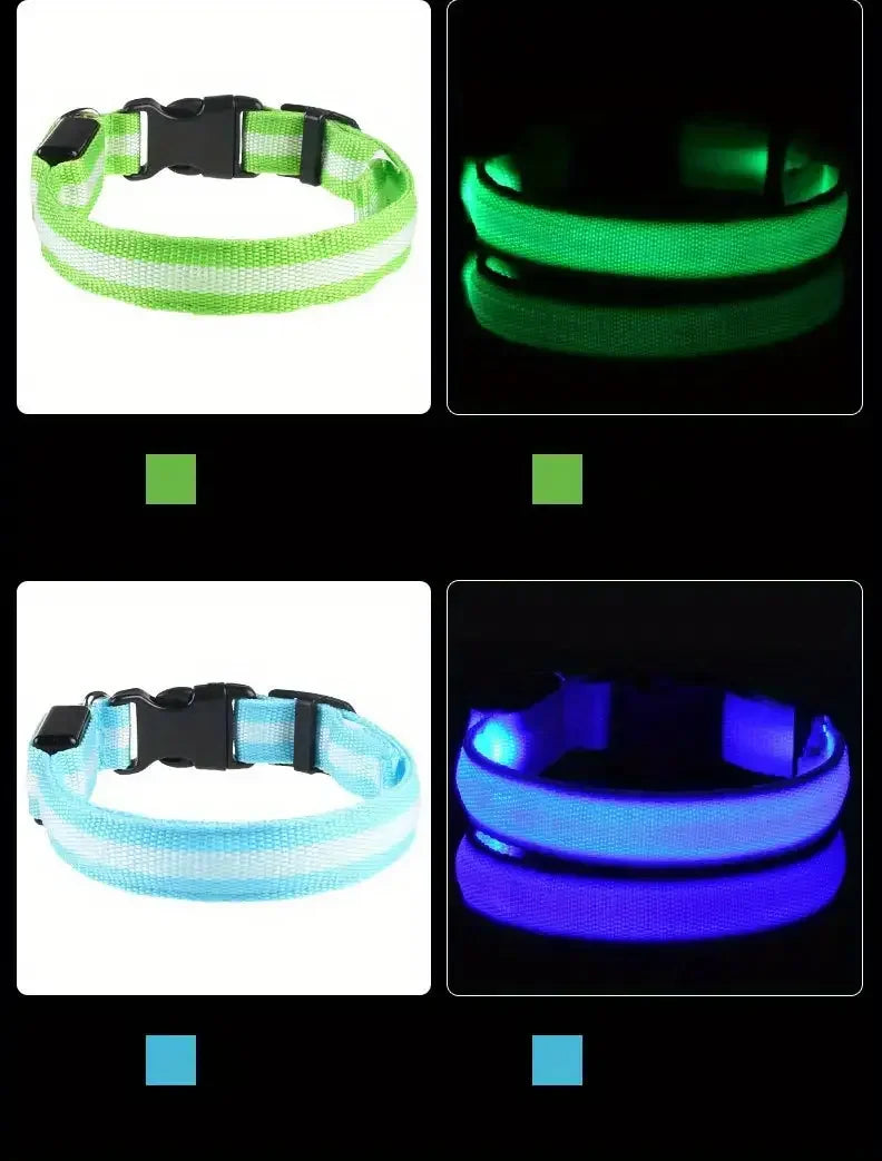 LED glow dog collar and safety night leash by Showlu Smart General, illuminated for visibility during nighttime walks.