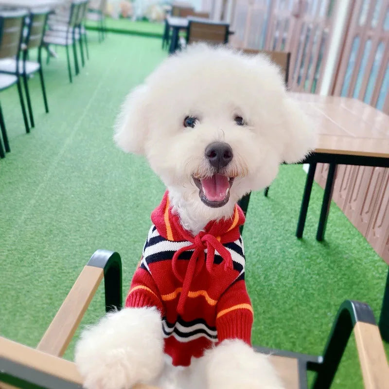 Striped Showlu Fashion dog sweater made of 100% cotton, warm pet pullover for small dogs shown in the image.