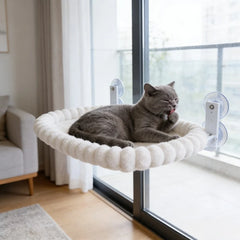 A grey cat rests on a round, plush, white velvet window hammock attached with suction cups.