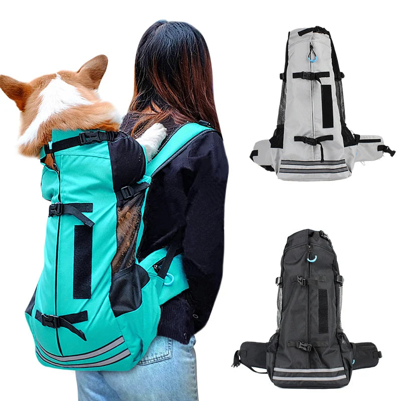 Waterproof XLeiPet dog travel backpack by Showlu Fashion Store, breathable carrier for medium-sized dogs, designed for travel.