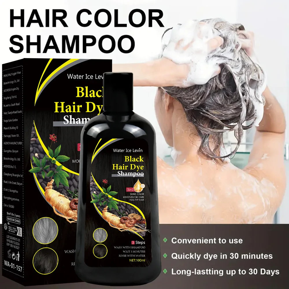 Water Ice Levin 3-in-1 Black Hair Dye Shampoo with organic ginger essence in a 100ml bottle, featuring sleek black packaging.