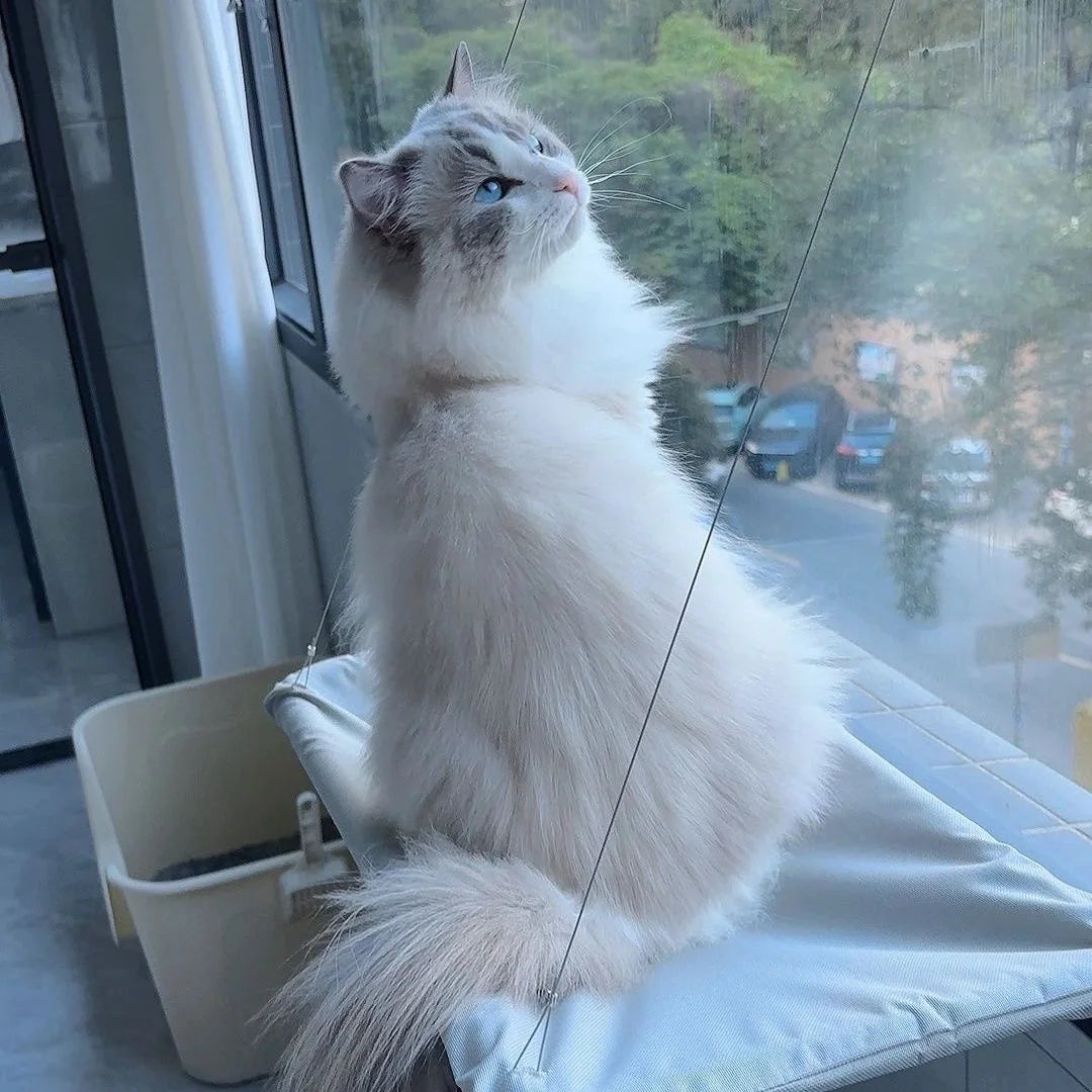 Qlfyuu Cat Window Hammock by Showlu Fashion Store, cozy hanging sunny seat bed for cats, with a soft fabric and secure mounting