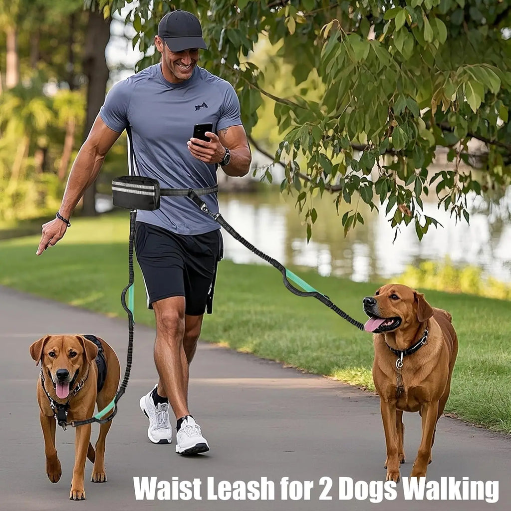 DCLOUD hands-free dual dog leash with pouch for medium and large dogs, shown in black with adjustable straps and storage pocket.