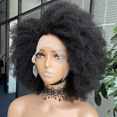 Afro Wigs for Black Women Kinky Curly Lace Front Wig Afro Short Bob Human Hair Wig 13x4x2 HD Lace Natural Hairline Glueless 250% - SHOWLU FASHION STORE